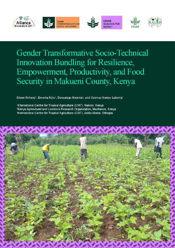 Gender transformative socio-technical innovation Bundling for resilience, empowerment, productivity, and food security in Makueni County, Kenya