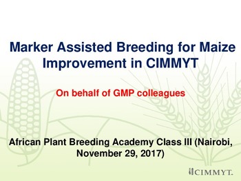 Marker assisted breeding for maize improvement in CIMMYT