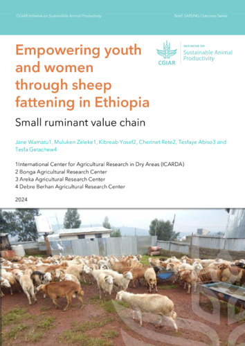 Empowering Youth and Women through Sheep Fattening in Ethiopia