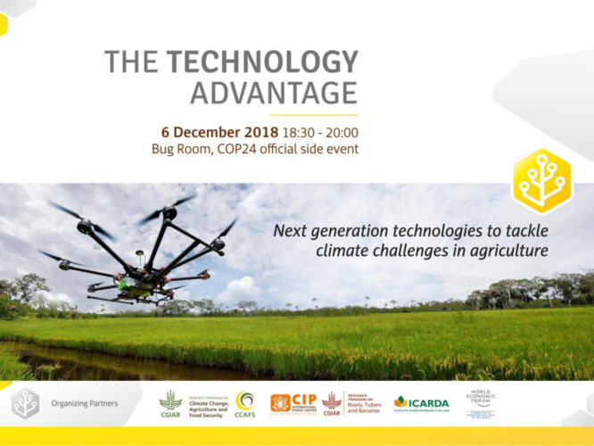 Combining crop rotation, crop improvement and new technologies in the design of climate-smart cereal production in the drylands