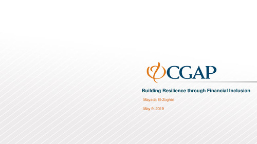 Mayada El-Zoghbi, Building Resilience through Financial Inclusion