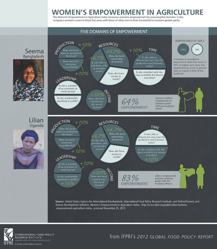 Women's empowerment in agriculture
