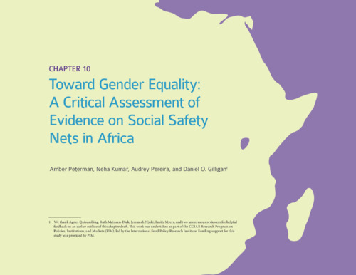 Toward gender equality: A critical assessment of evidence on social safety nets in Africa