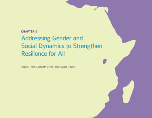 Addressing gender and social dynamics to strengthen resilience for all
