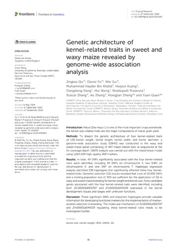 Genetic architecture of kernel-related traits in sweet and waxy maize revealed by genome-wide association analysis