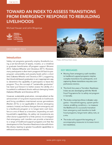 Toward an index to assess transitions from emergency response to rebuilding livelihoods