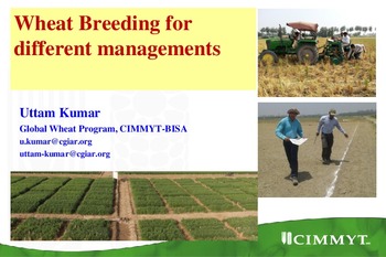 Wheat breeding for different managements