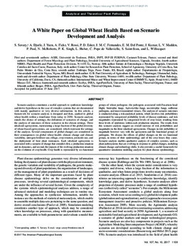 A white paper on global wheat health based on scenario development and analysis