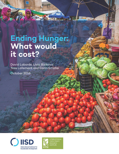 Ending hunger: What would it cost?