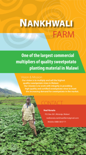 Nankhwali farm. One of the largest commercial multipliers of quality sweetpotato planting material in Malawi.