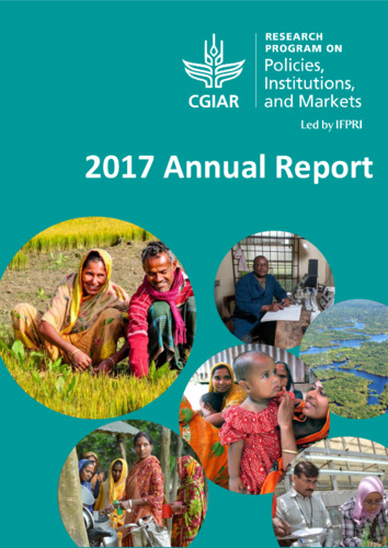 PIM 2017 annual report
