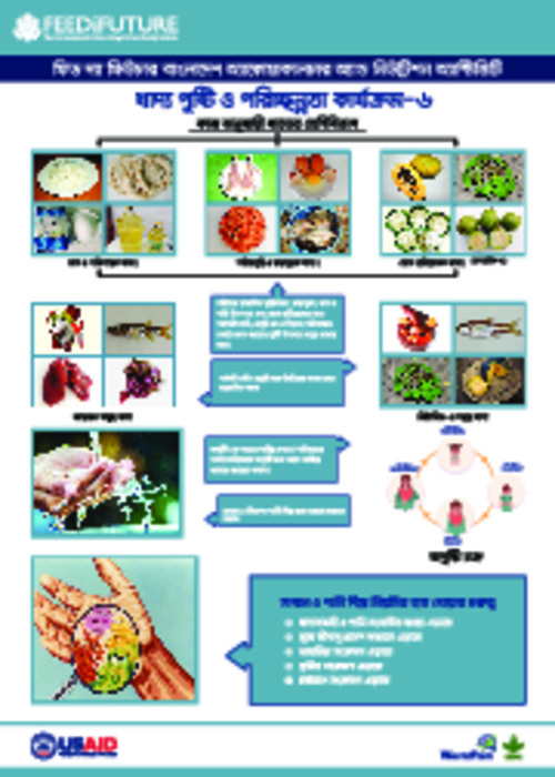 Festoon on salt water shrimp production 6