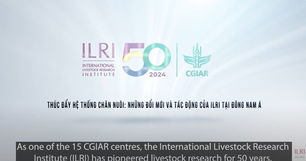 Advancing livestock systems: ILRI’s innovations and impacts in Southeast Asia