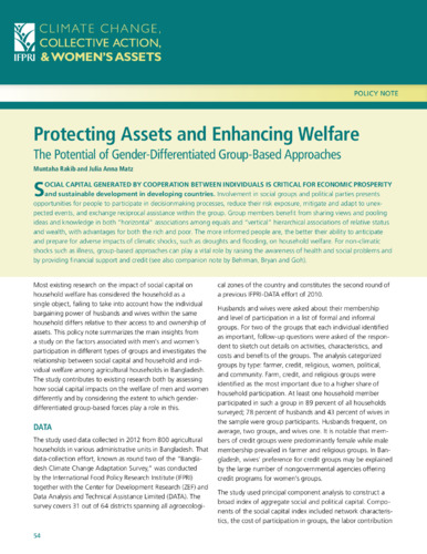 Protecting assets and enhancing welfare: The potential of gender-differentiated group-based approaches