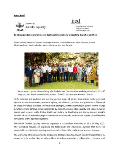 Bundling gender responsive socio-technical innovations: Unpacking the what and how