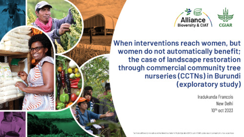 When interventions reach women, but women do not automatically benefit; the case of landscape restoration through commercial community tree nurseries (CCTNs) in Burundi (exploratory study)