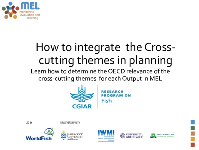 Guideline on how to integrate the Cross-cutting themes in planning through MEL