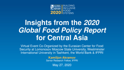 Insights from the 2020 Global Food Policy Report for Central Asia