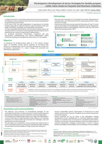 Participatory Development of Sector Strategies for Double-Purpose Cattle Value Chains in Caquetá and Guaviare, Colombia