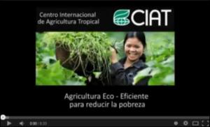 Agricultura eco-eficiente para reducir la pobreza