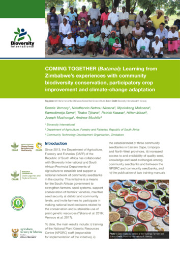 “COMING TOGETHER” (Batanai): Learning from Zimbabwe’s experiences with community biodiversity conservation, participatory crop improvement and climate change adaptation