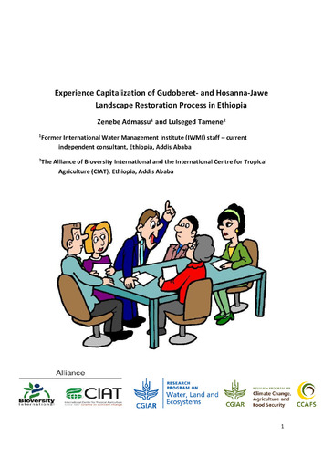 Experience capitalization of Gudoberet- and Hosanna-Jawe landscape restoration process in Ethiopia