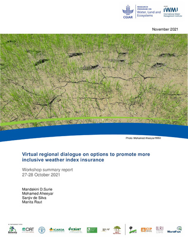 Virtual regional dialogue on options to promote more inclusive weather index insurance