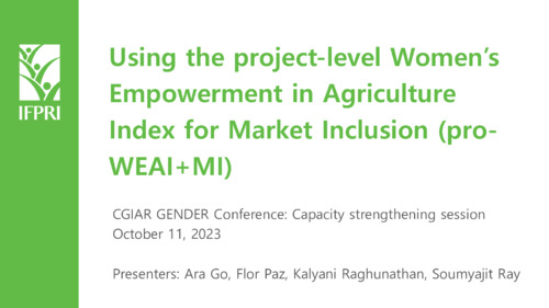 Day 3 IFPRI Presentations for 2023 CGIAR GENDER-ICAR Conference