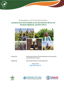 Anecdotes of transformation: Narratives from Africa RISING in East and Southern Africa, the Ethiopian highlands, and West Africa