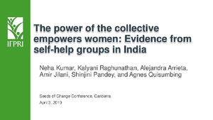The power of the collective empowers women: Evidence from self-help groups in India