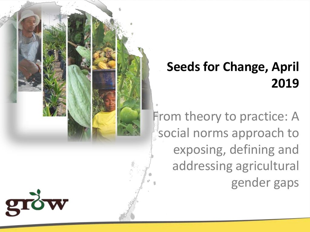 From theory to practice: a social norms approach to exposing, defining and addressing agricultural gender gaps