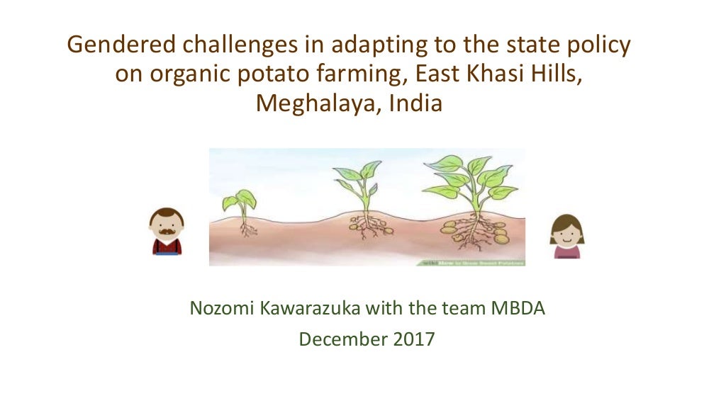 Gendered challenges in adapting to the state policy on organic potato farming, East Khasi Hills, Meghalaya, India