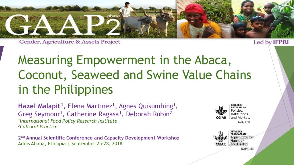 Measuring empowerment in the abaca, coconut, seaweed and swine value chains in the Philippines