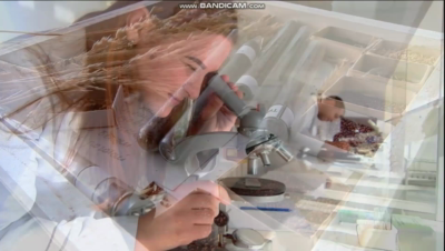 2020 SKiM Learning Week - Virtual Visit to SAUM