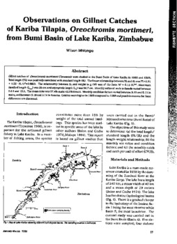 Observations on gillnet catches of Kariba tilapia, Oreochromis mortimeri from Bumi Basin of Lake Kariba, Zimbabwe