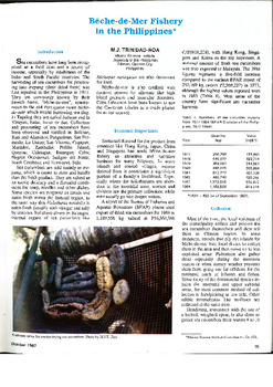 Beche-de-mer fishery in the Philippines