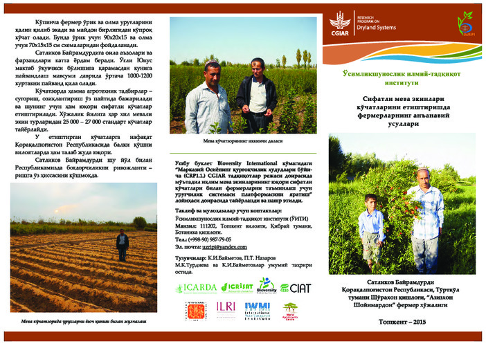 Сифатли мева экинлари кучатларини етиштиришда фермерларнинг анъанавий усули: фермер Байрамдурди Сатликов. Farmer’s traditional technology of production of quality planting material of fruit trees: farmer Mr. Bayramdurdi Satlikov