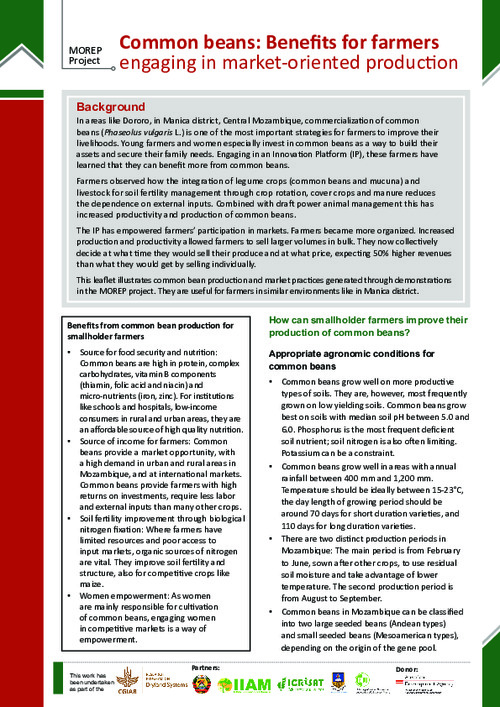 Common beans: Benefits for farmers ￼engaging in market-oriented production