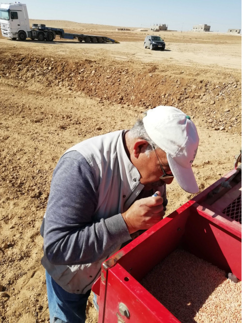 Marab - water harvesting based agriculture