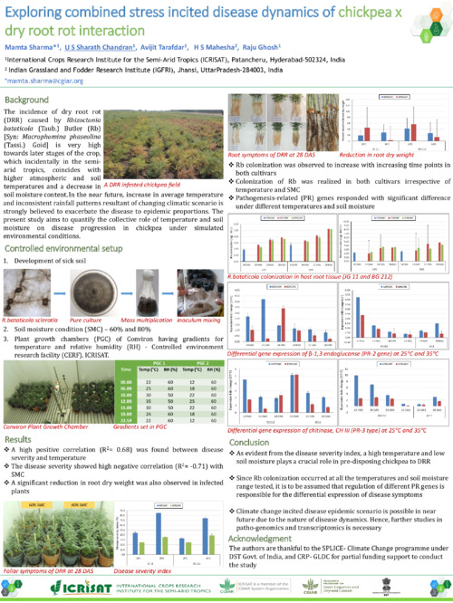 Exploring combined stress incited disease dynamics of chickpea x dry root rot interaction