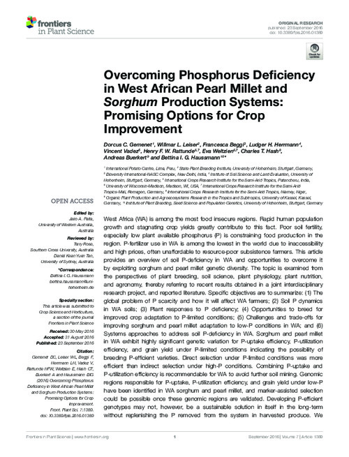 Overcoming phosphorus deficiency in West African pearl millet and sorghum production systems: promising options for crop improvement