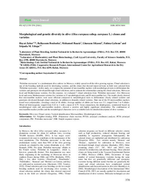 Morphological and genetic diversity in olive (Olea europaea subsp europaea L.) clones and varieties