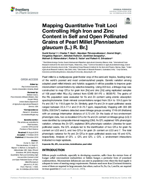 Mapping Quantitative Trait Loci Controlling High Iron and Zinc Content in Self and Open Pollinated Grains of Pearl Millet (Pennisetum glaucum (L.) R. Br.)