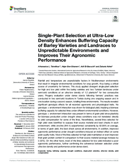 Single-Plant Selection at Ultra-Low Density Enhances Buffering Capacity of Barley Varieties and Landraces to Unpredictable Environments and Improves Their Agronomic Performance