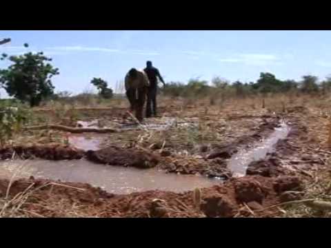 Nana Helene - Ninigui, Burkina Faso