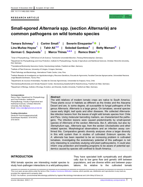 Small-spored Alternaria spp. (section Alternaria) are common pathogens on wild tomato species