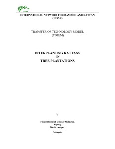 Interplanting rattans (1)