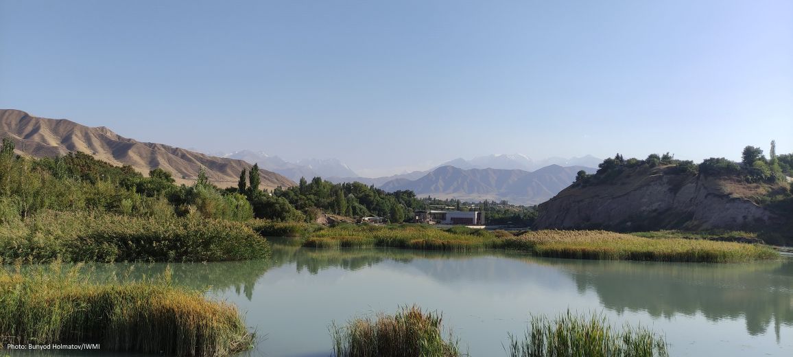 From gray infrastructure to nexus planning