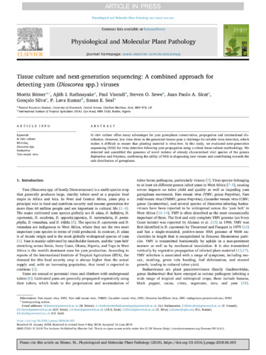Tissue culture and next-generation sequencing: a combined approach for detecting yam (Dioscorea spp.) viruses
