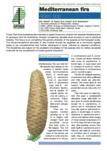 Mediterranean firs (Abies spp)
